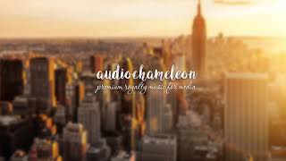 AudioChameleon - The Hip-Hop Background Beat (Royalty Free Music)