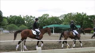 SRC狭山乗馬センター指導員カドリール（野村　内田　山崎　青田　觧良　觧良徳子）2019年5月6日