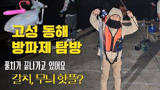 갈치 핫플 고성군 동해면 방파제 탐방(시즌이 끝나가나요ㅠ)