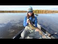 fall musky fishing in dirty water crazy action