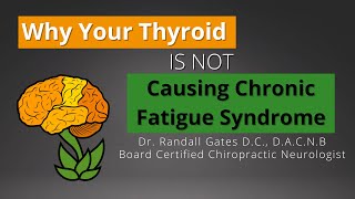 Why Your Thyroid Isn't Causing Chronic Fatigue Syndrome