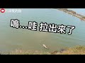 【江江哥愛釣魚】海釣場釣石斑爆咬神餌公開 上集 操餌手法分享，不能說的秘密告訴你 神餌一出手大魚馬上有｜龍虎斑 grouper 路亞 釣り 낚시 рыболовный fishing