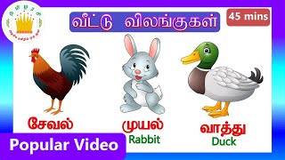 வீட்டு விலங்குகள்|Learn Farm animal names in Tamil and English collection for Kids\u0026 Children