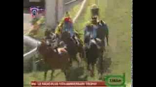 Meadow Magic - C.Segeon (Journee 23)