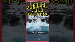 노년에 근육 손실을 막아주는 단백질과 아미노산 영양제!\