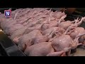 Harga ayam naik dua kali sejak hujung bulan lalu