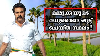 നെടുങ്ങാട് ഗ്രാമക്കാഴ്ചകൾ🌴| MADHURARAJA SHOOTING LOCATION| NEDUNGAD| FISHING