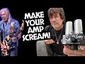 GEORGE LYNCH/LEGENDARY TONES MR. SCARY TUBE MODULE