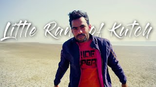 Rann of Kutch wildlife | कच्छ का रन | કચ્છ નુ રણ | Koddha Echo tourism | 4K | Travel full story