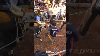 Durgam Highlights in Kantara version #tn29family #durgamjallikattu #aathu #aathupandigai #jallikattu