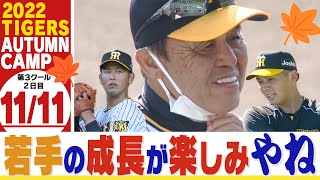 【11月11日秋季キャンプ】井上広大が！小野寺暖が！柵越え連発！！若虎は日々進化を続ける！阪神タイガース密着！応援番組「虎バン」ABCテレビ公式チャンネル