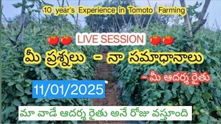 ఈ రోజు కొంచం టమాటో 🍅🍅ధర పెరిగింది| Mr.ఆదర్శ రైతు