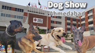 Dog Show in Ahmedabad 2025 | Geneva Liberal School Hosted | Ahmedabad Kennel Club Organised