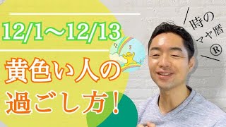 わかりやすく説明！マヤ暦13日間のエネルギーとは(12/1〜12/13）