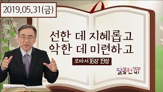 달콤한QT 하정완목사의 로마서묵상23: 선한 데 지혜롭고 악한 데 미련하고