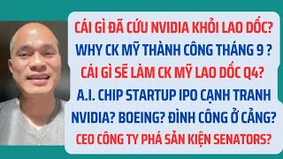 Cái gì đã cứu NVIDIA khỏi lao dốc? Why ck Mỹ thành công tháng 9?But se lao dốc Q4? AI IPO?