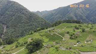 岐阜のマチュピチュ 天空の茶畑 Mavic Air 4K