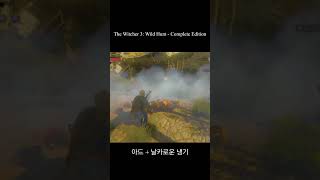 The Witcher 3 : 위쳐3 냉기 아드의 위엄!