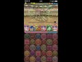 パズドラ　第7回チャレンジダンジョン　lv１０ノーコン　闇カーリーpt