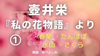 【朗読】壺井栄 『私の花物語』より①  朗読・あべよしみ