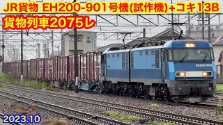 【JR貨物 EH200-901号機(試作機)+コキ13B 貨物列車2075レ 2023.10】