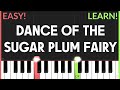 Dance Of The Sugar Plum Fairy - The Nutcracker | EASY CHRISTMAS Piano Tutorial