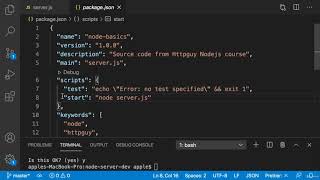 LESSON 7 - Running Node App using Npm scripts