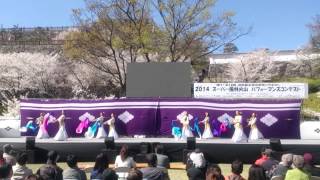 信玄公祭り2014 スーパー風林火山パフォーマンスコンテスト Bellydance 2014年4月5日