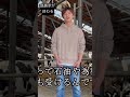 酪農家が終わる shorts 酪農