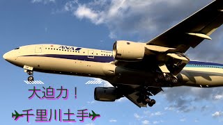 【千里川土手】大阪国際空港(伊丹)  着陸機16連発