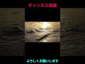 【プロスピa】sランク確定 2009日本代表プレゼント【10連無料】