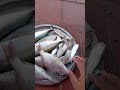 namma v2du samaiyal fish video click panni paruka friends