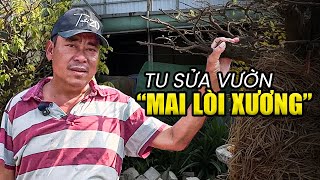 Mai già mai non LÒI HẾT CẢ XƯƠNG – Xe cẩu vào nâng nền, Tu Sửa vườn sau Tết!