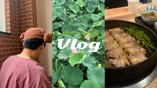 VLOG :: 찜질방은 식혜먹으러 가는 곳이자나요 / 청도 / 첨성대불가마 / 이열치열한국인 / 연지 / 눈꽃을나누다 / 두류공원