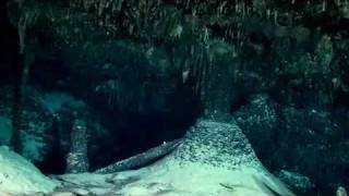 Bermuda's Mystical Caves