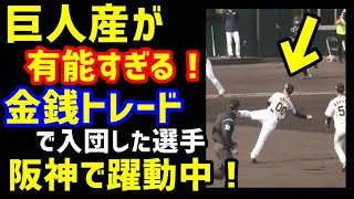 【阪神】巨人産が有能すぎる！金銭トレードで入団した選手、タイガースで絶賛躍動中！（ノ・ボールガールの野球NEWS）