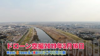 【4K 絶景】ドローン空撮＠江戸川河川敷2019年3月16日【ドローン空撮 Aerial video of drone Superb view】