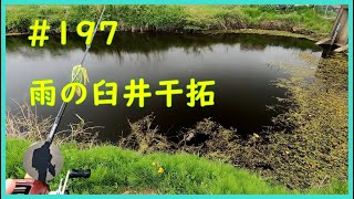 【4月下旬】雨の印旛沼【臼井台干拓】