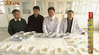 【中國青島】青島特有海鮮粽～青島人天天吃海鮮！？【美食大三通】