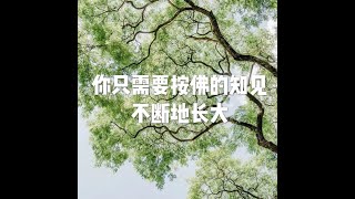 201903 你只需要按佛的知见不断地长大51082