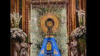 Vamos a rezar ante la Virgen del Pilar con Pilar R F del día  12/01/25