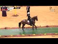 XIV Mundial YEGUAS  PASO FINO MONTADO POR SU DUEÑO