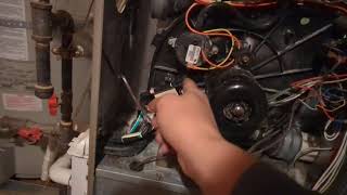Bryant Carrier Furnace Error 31 No Heat Pressure Switch Issue - Watch before replacing your switch