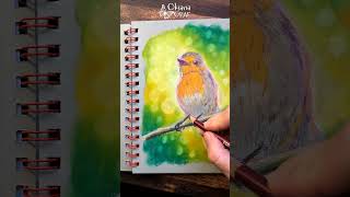 Ölpastell Vogel | Rotkehlchen zeichnen | Bokeh Effekt | Robin | oilpastel drawing | зарянка пастель