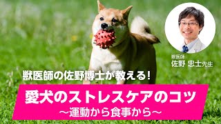 獣医師の佐野博士が教える！「愛犬のストレスケアのコツ～運動から食事から～」