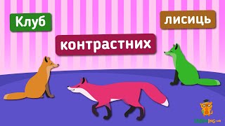 Ефект одночасного колірного контрасту. Якого кольору лисичка? Цікаві факти про ілюзії сприйняття