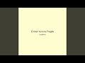 Ember Aurora Fragile