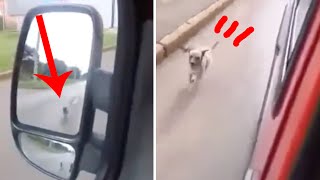 忠犬ワンコに涙！倒れたご主人が乗ってる救急車を一心不乱に追いかける犬に感動