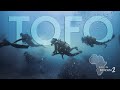 TOFO (and Guinjata Bay) - Lost in Mozambique 2 (4K)