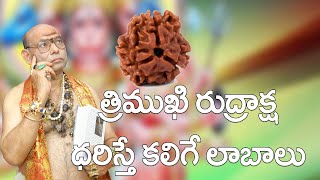 త్రిముఖి రుద్రాక్ష ధరిస్తే కలిగే ఫలితములు  I About Trimukhi Rudraksha in Telugu I